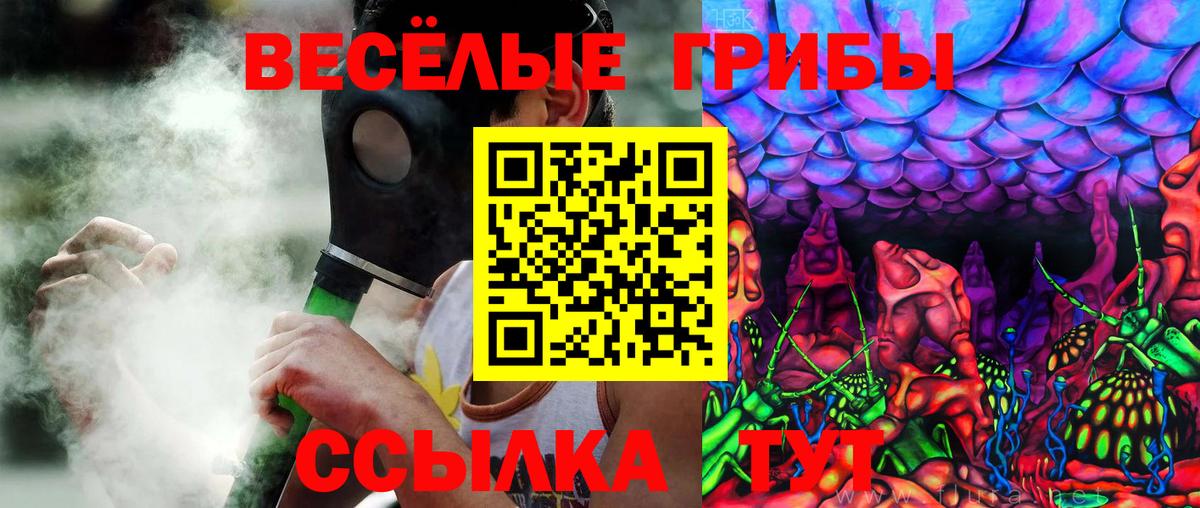 Галлюциногенные грибы Psilocybine cubensis  Вход с VPN  Саров 